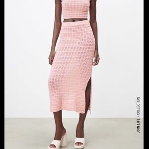 ZARA NWT POINTELLE KNIT SKIRT, size L